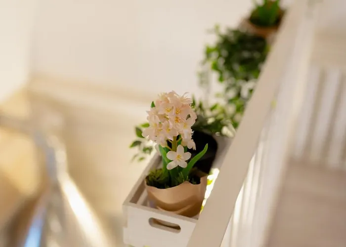 Sasso Bianco * Matera