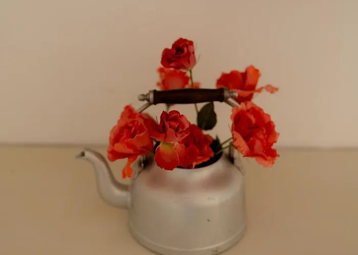 Sasso Bianco Appartement